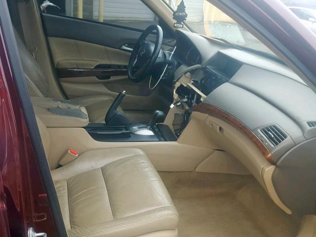 1HGCP36849A006321 - 2009 HONDA ACCORD EXL BURGUNDY photo 5