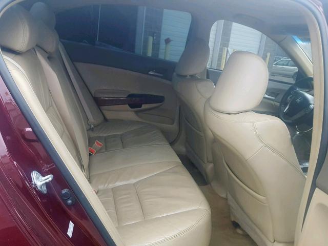 1HGCP36849A006321 - 2009 HONDA ACCORD EXL BURGUNDY photo 6