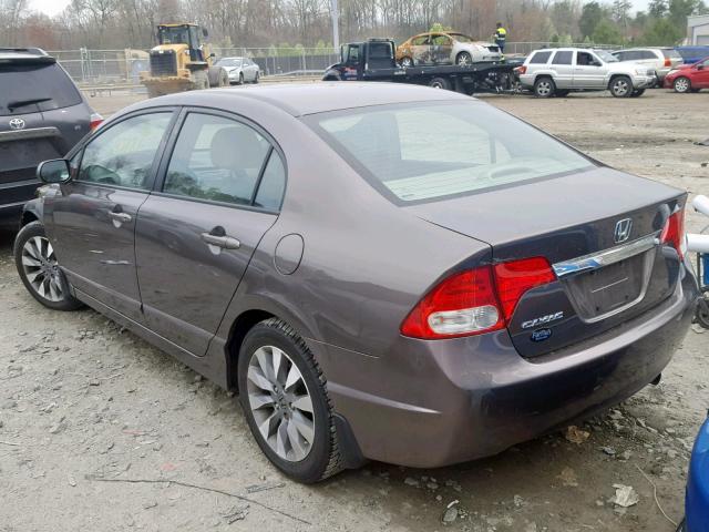 19XFA1F92AE033559 - 2010 HONDA CIVIC EXL BROWN photo 3