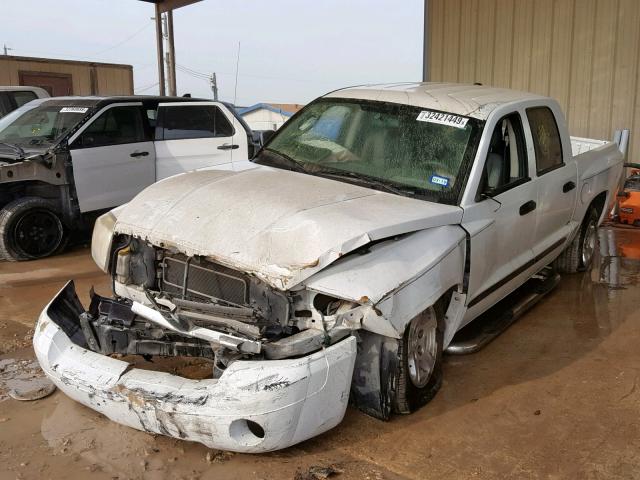 1D7HE48P17S207305 - 2007 DODGE DAKOTA QUA WHITE photo 2