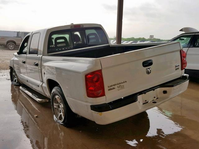 1D7HE48P17S207305 - 2007 DODGE DAKOTA QUA WHITE photo 3