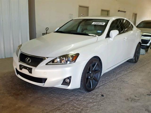 JTHBF5C28C5182425 - 2012 LEXUS IS 250 WHITE photo 2