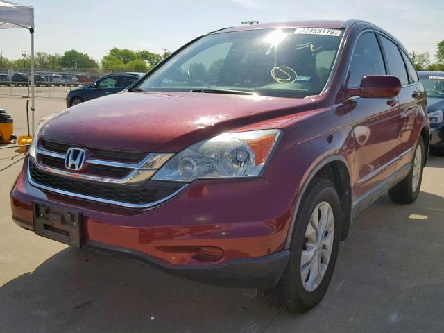 5J6RE3H76BL019840 - 2011 HONDA CR-V EXL RED photo 2