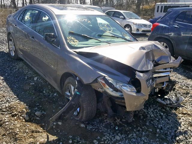 1G1ZC5EB1AF228571 - 2010 CHEVROLET MALIBU 1LT 金色 照片 1