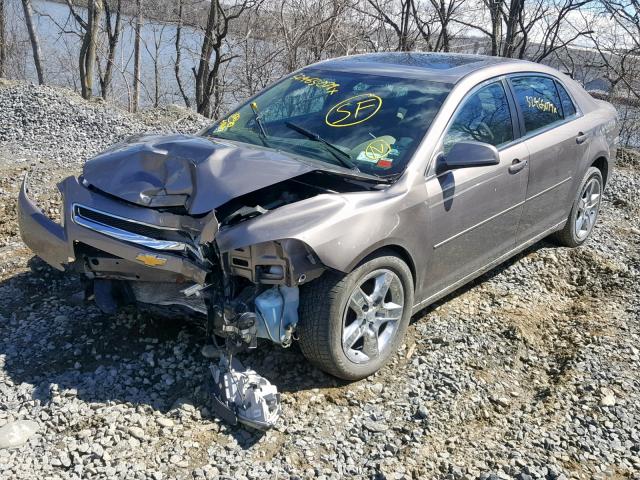 1G1ZC5EB1AF228571 - 2010 CHEVROLET MALIBU 1LT 金色 照片 2