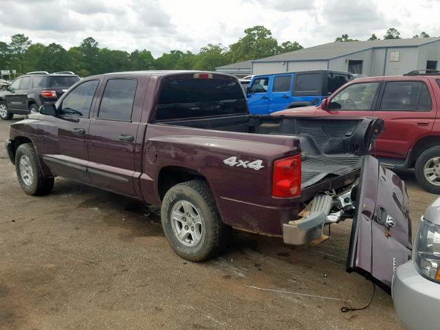 1D7HW48K35S234648 - 2005 DODGE DAKOTA QUA PURPLE photo 3