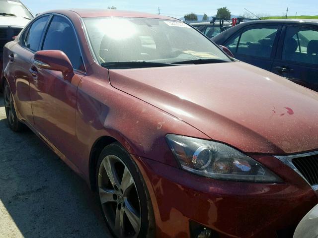 JTHBF5C2XC5175184 - 2012 LEXUS IS 250 RED photo 1