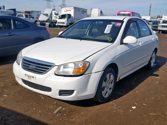 KNAFE121285530540 - 2008 KIA SPECTRA EX WHITE photo 2