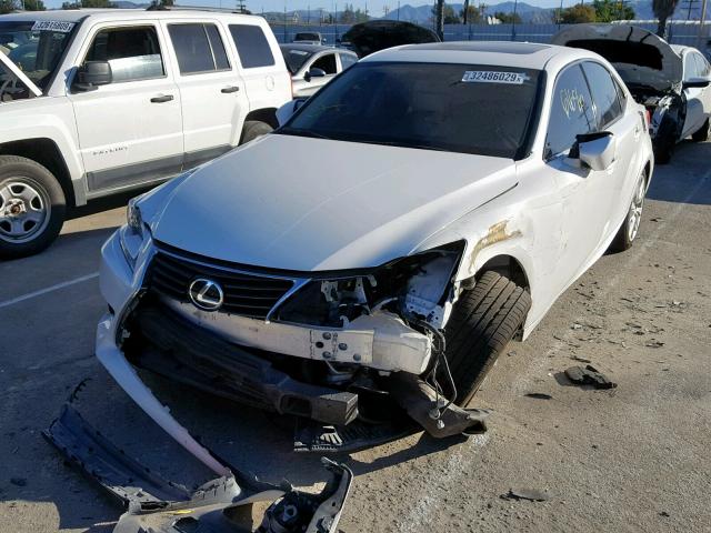 JTHBF1D25E5020391 - 2014 LEXUS IS 250 WHITE photo 2