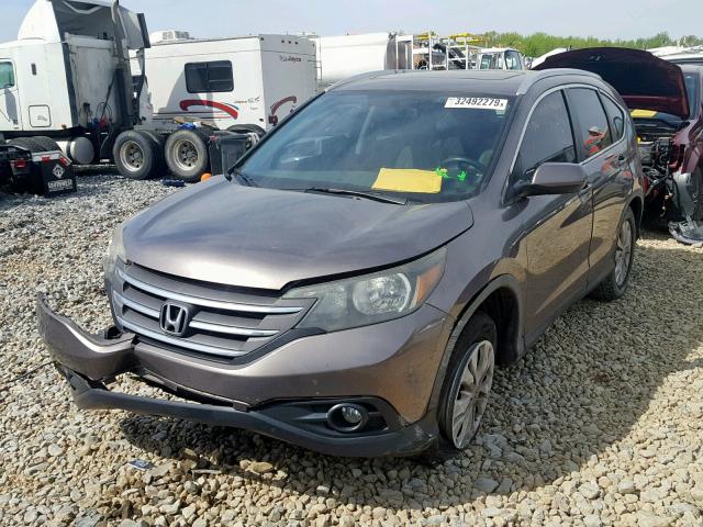 5J6RM3H7XDL017434 - 2013 HONDA CR-V EXL BROWN photo 2