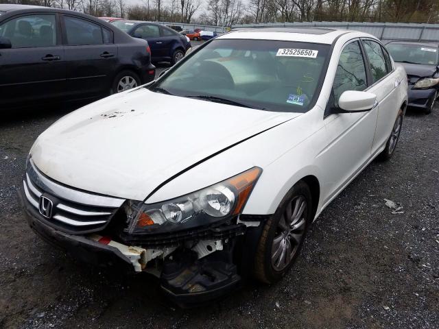 1HGCP3F86CA038906 - 2012 HONDA ACCORD EXL  photo 2