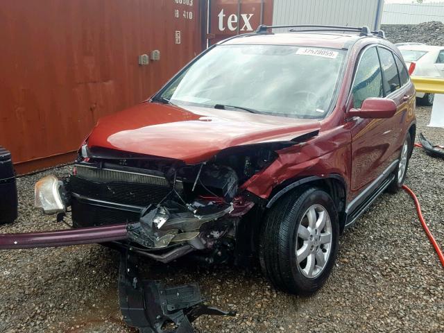 JHLRE38707C033233 - 2007 HONDA CR-V EXL BURGUNDY photo 2