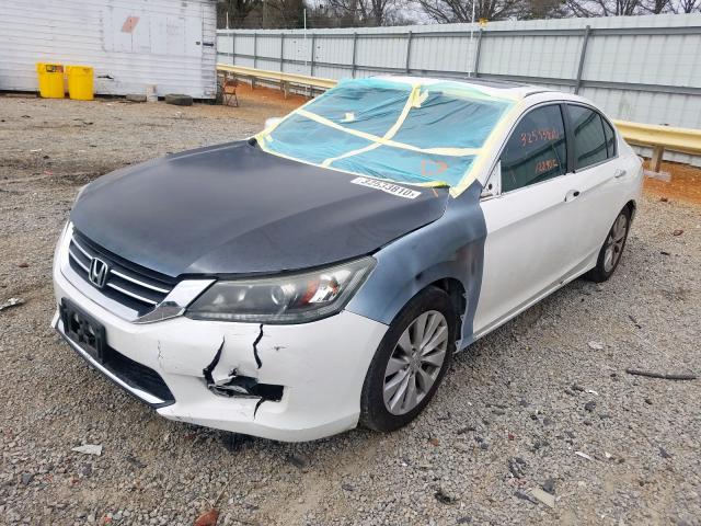 1HGCR2F86DA151339 - 2013 HONDA ACCORD EXL  photo 2