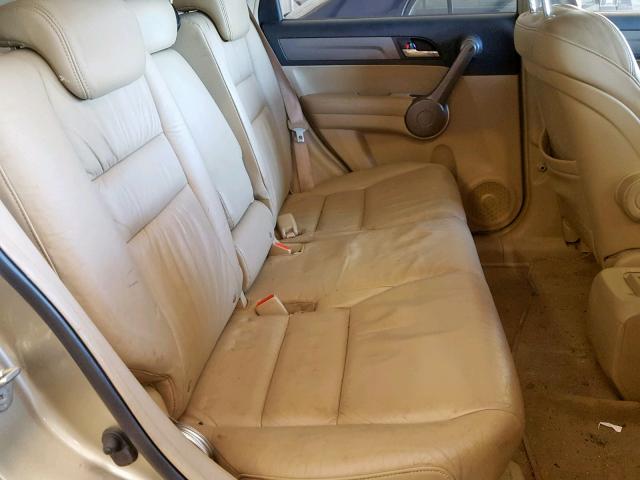 JHLRE38748C021488 - 2008 HONDA CR-V EXL BEIGE photo 6