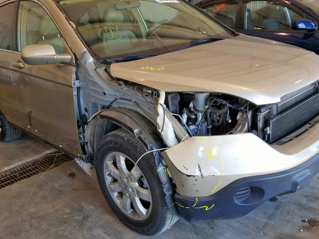 JHLRE38748C021488 - 2008 HONDA CR-V EXL BEIGE photo 9