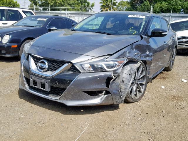 1N4AA6AP0GC446857 - 2016 NISSAN MAXIMA 3.5 GRAY photo 2