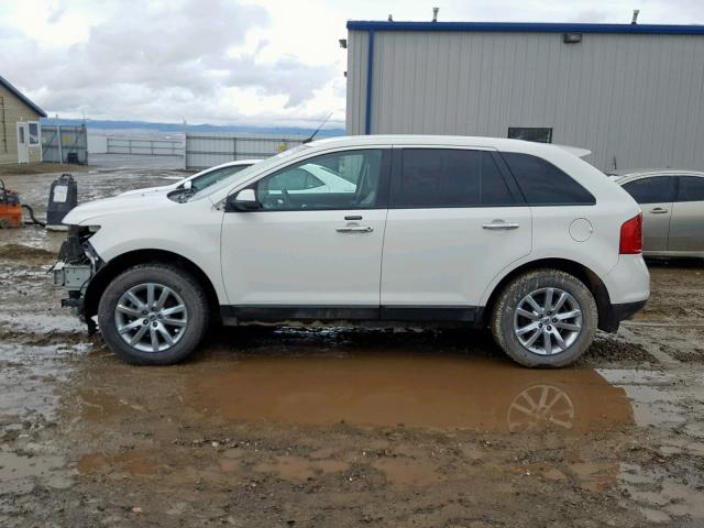 2FMDK3JC1BBB27973 - 2011 FORD EDGE SEL WHITE photo 9