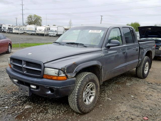 1D7HG38X33S185466 - 2003 DODGE DAKOTA QUA GRAY photo 2