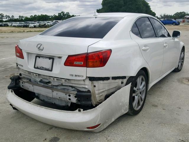 JTHBK262885072763 - 2008 LEXUS IS 250 WHITE photo 4