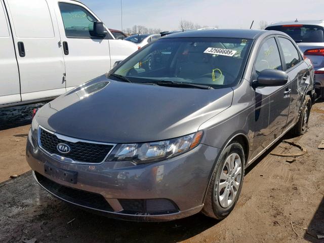 KNAFU4A21D5681832 - 2013 KIA FORTE EX GRAY photo 2