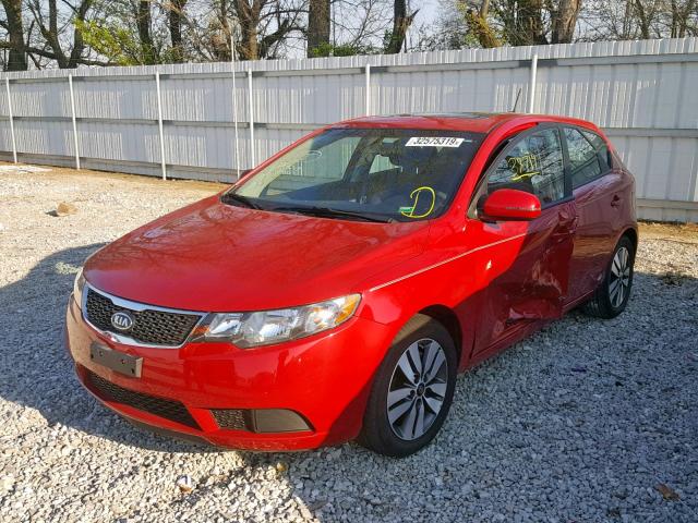 KNAFU5A24D5726218 - 2013 KIA FORTE EX RED photo 2