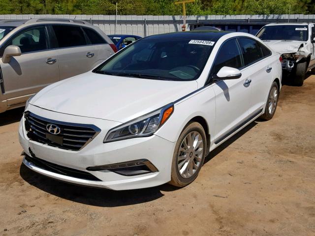 5NPE34AF6FH232475 - 2015 HYUNDAI SONATA SPO WHITE photo 2