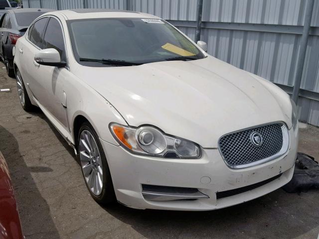 SAJWA06B19HR23037 - 2009 JAGUAR XF PREMIUM CREAM photo 1