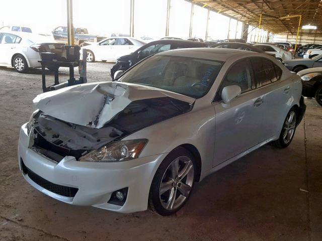 JTHBF5C26B2101096 - 2011 LEXUS IS 250 SILVER photo 2