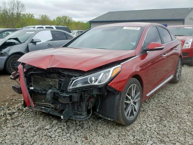 5NPE34AB9FH087557 - 2015 HYUNDAI SONATA SPO RED photo 2