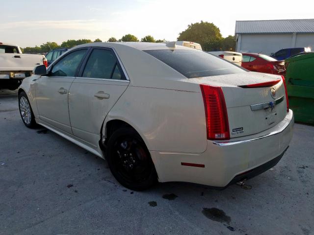 1G6DK5EV8A0102244 - 2010 CADILLAC CTS PERFORMANCE COLLECTION  photo 3