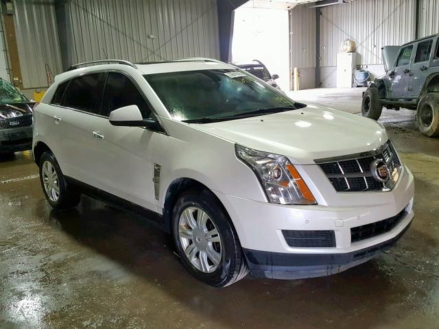 3GYFNAEY5BS533189 - 2011 CADILLAC SRX LUXURY WHITE photo 1