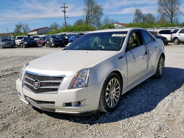 1G6DK5ED0B0108564 - 2011 CADILLAC CTS PERFOR CREAM photo 2