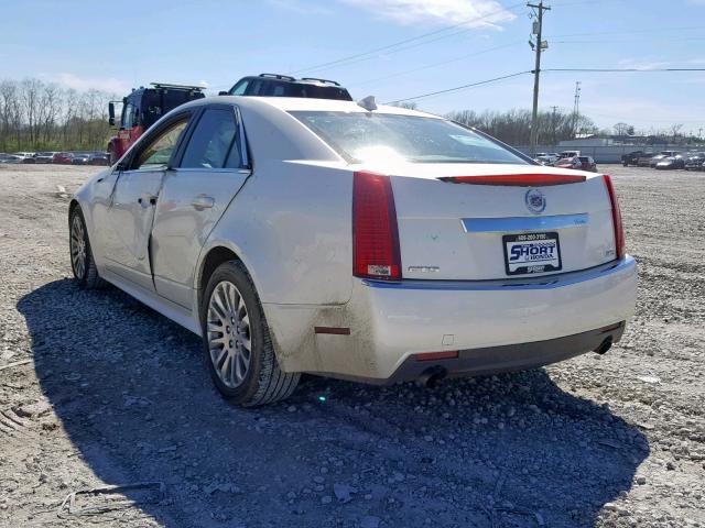 1G6DK5ED0B0108564 - 2011 CADILLAC CTS PERFOR CREAM photo 3