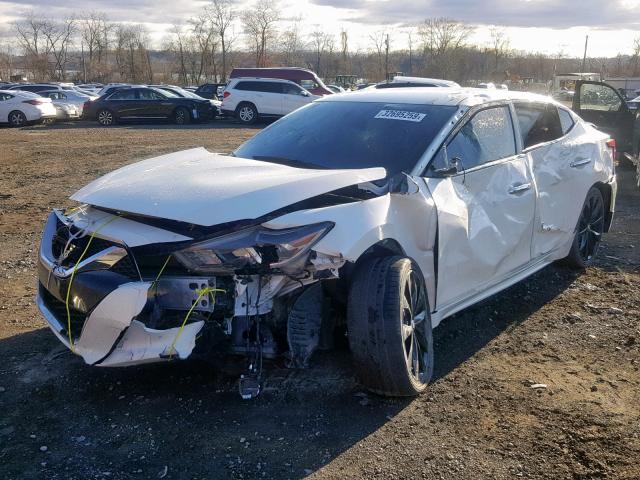 1N4AA6AP9GC440216 - 2016 NISSAN MAXIMA 3.5 WHITE photo 2