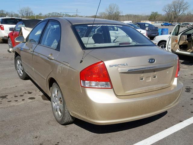 KNAFE221395662018 - 2009 KIA SPECTRA EX GOLD photo 3