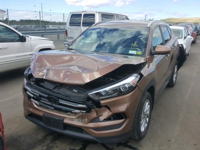 KM8J3CA45GU230064 - 2016 HYUNDAI TUCSON LIM BROWN photo 2