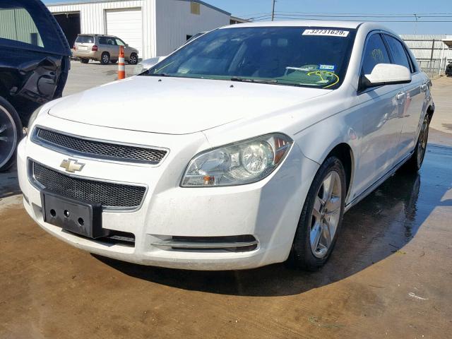 1G1ZH57B19F231870 - 2009 CHEVROLET MALIBU 1LT 白色 照片 2