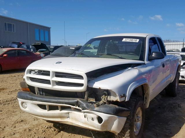 1B7GG22YXXS308834 - 1999 DODGE DAKOTA WHITE photo 2