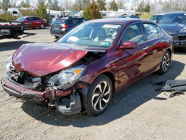 1HGCR2F89GA205396 - 2016 HONDA ACCORD EXL RED photo 2