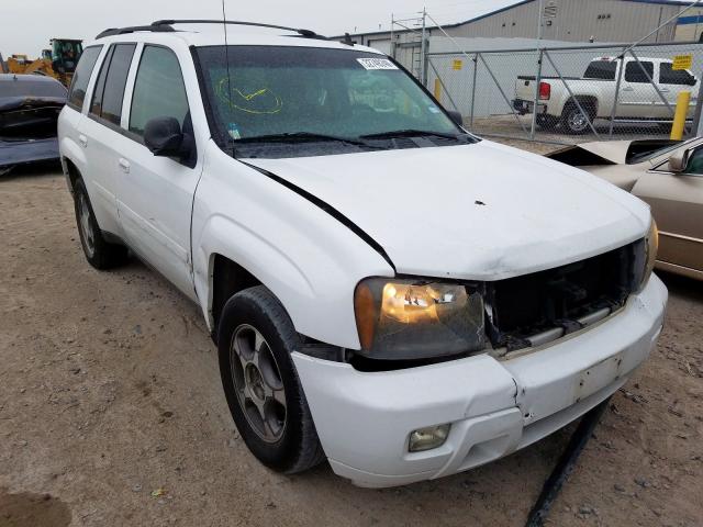 1GNDS13S182190641 - 2008 CHEVROLET TRAILBLAZER LS  photo 1