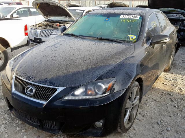 JTHBF5C28D5193460 - 2013 LEXUS IS 250  photo 2