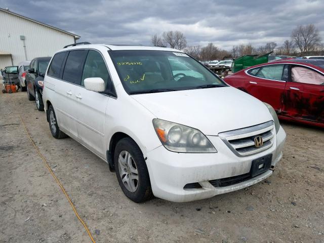 5FNRL38696B418883 - 2006 HONDA ODYSSEY EXL  photo 1