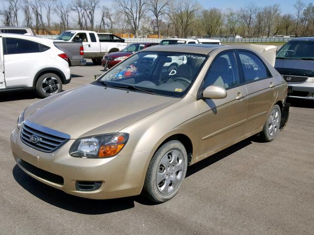 KNAFE221695657816 - 2009 KIA SPECTRA EX GOLD photo 2