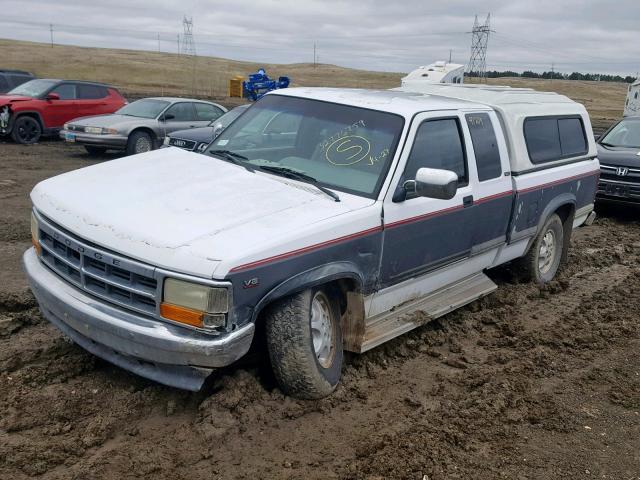 1B7GG23Y3RS575217 - 1994 DODGE DAKOTA WHITE photo 2