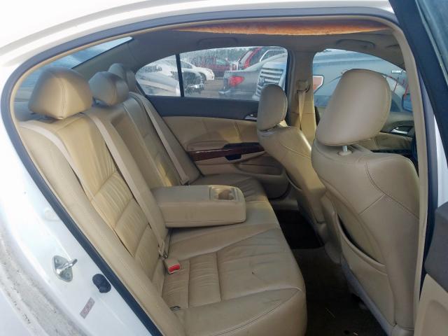 1HGCP36888A036081 - 2008 HONDA honda accord  photo 6