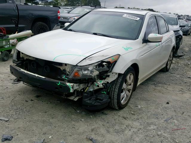 1HGCP36848A010111 - 2008 HONDA ACCORD EXL WHITE photo 2