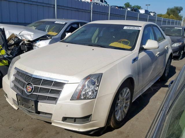 1G6DE5EY8B0158896 - 2011 CADILLAC CTS LUXURY WHITE photo 2