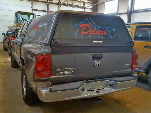 1D7HW48N55S166931 - 2005 DODGE DAKOTA QUA GRAY photo 3