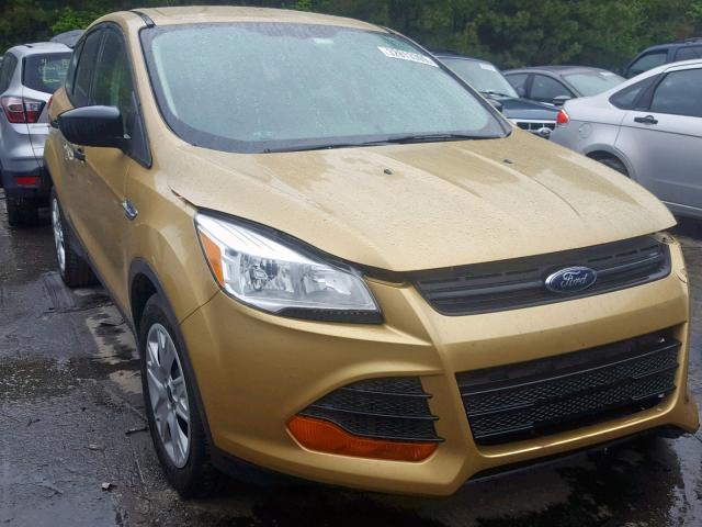 1FMCU0F76EUB91330 - 2014 FORD ESCAPE S GOLD photo 1