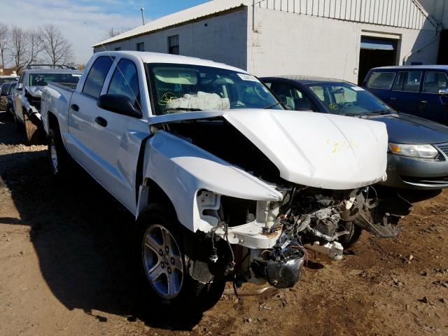 1D7RW3GK5BS620760 - 2011 DODGE DAKOTA SLT  photo 1